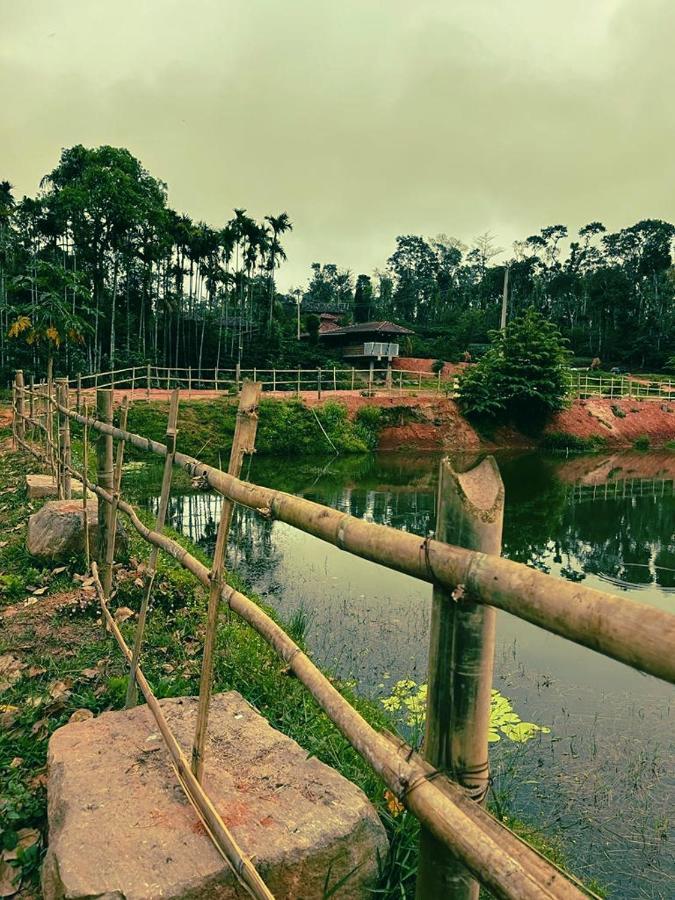 Agastya Lake View Coorg Madikeri Buitenkant foto