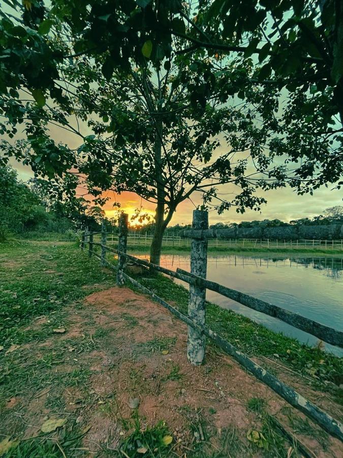 Agastya Lake View Coorg Madikeri Buitenkant foto